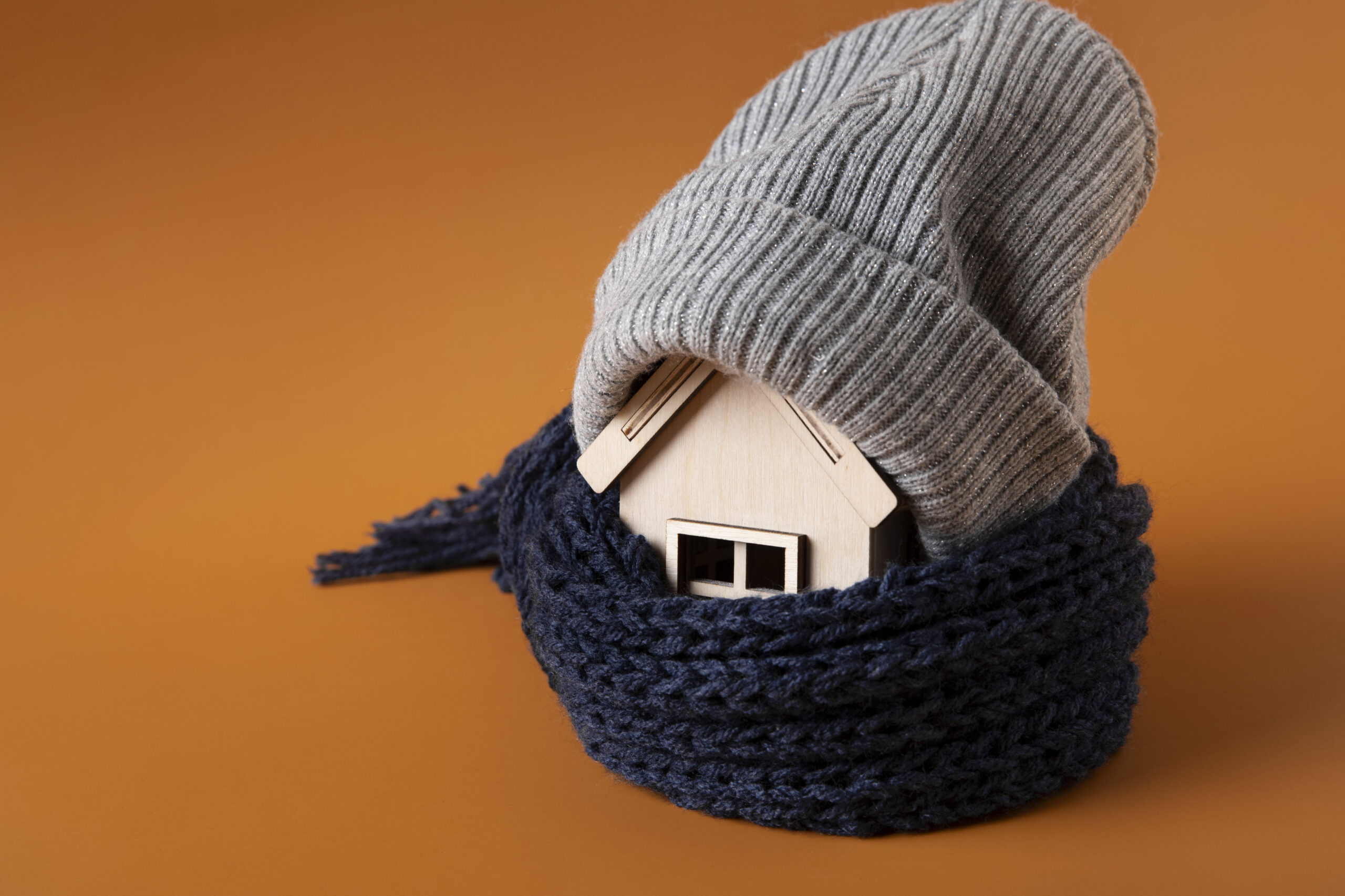 Business Idea Series #1 – Netflix for Household Items